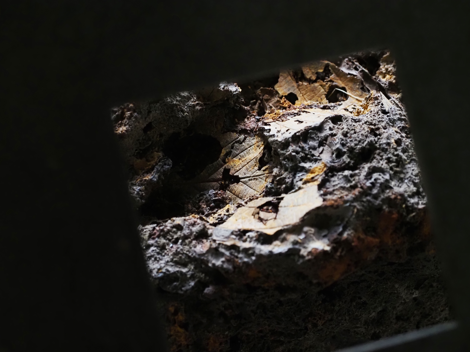 PA050116.jpg