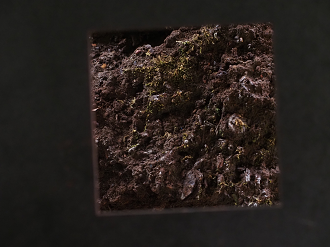 PA050117_thumb.png