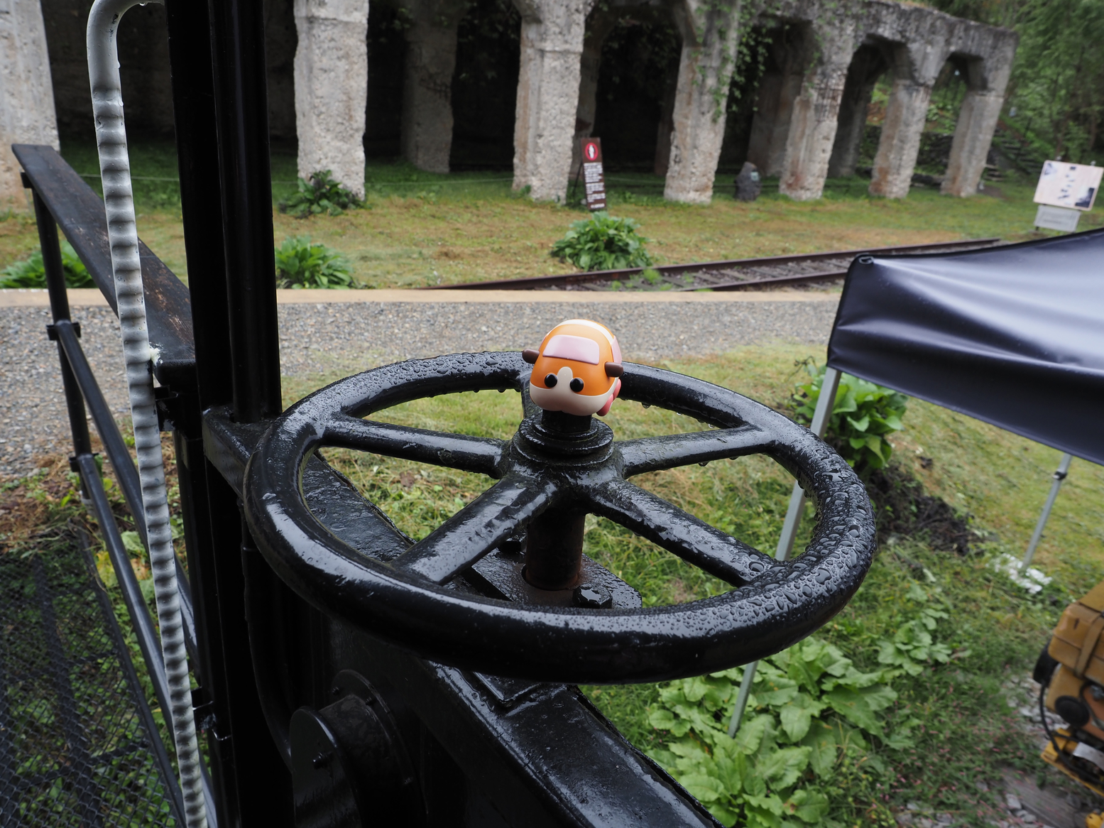 PA050122.jpg