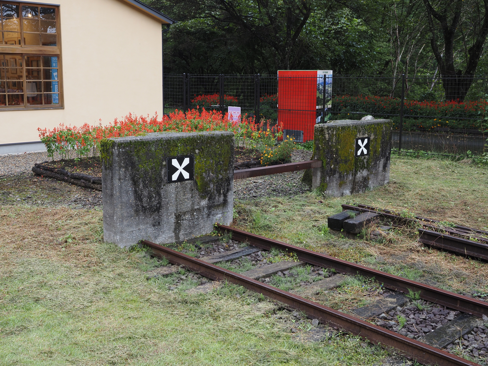 PA050123.jpg