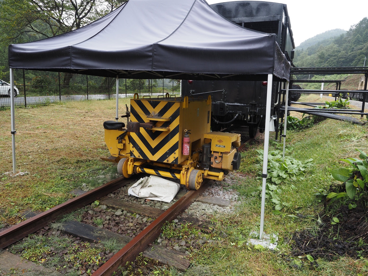 PA050124.jpg