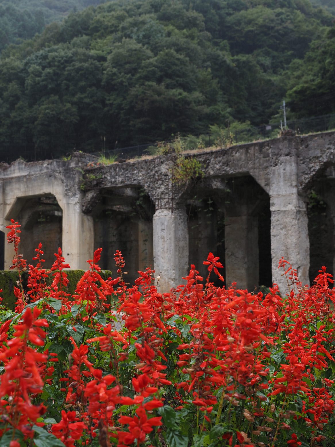 PA050130.jpg