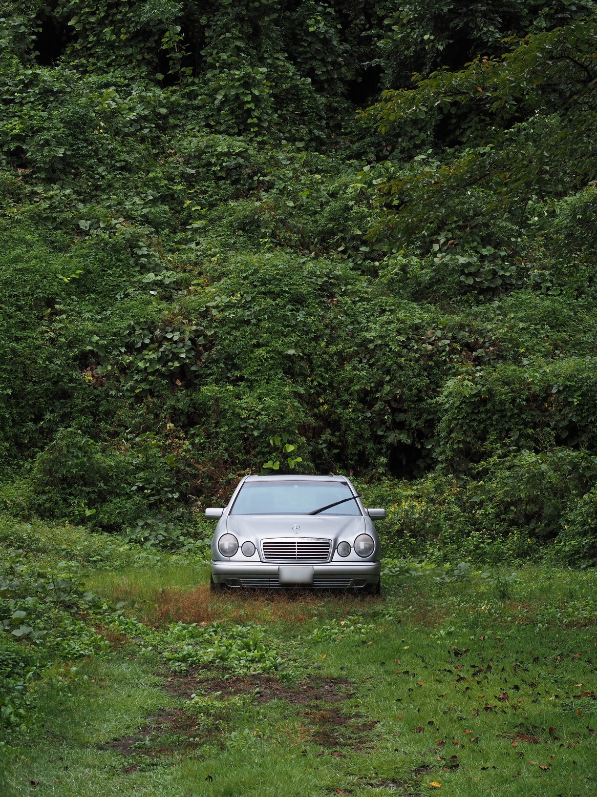 PA050140.jpg