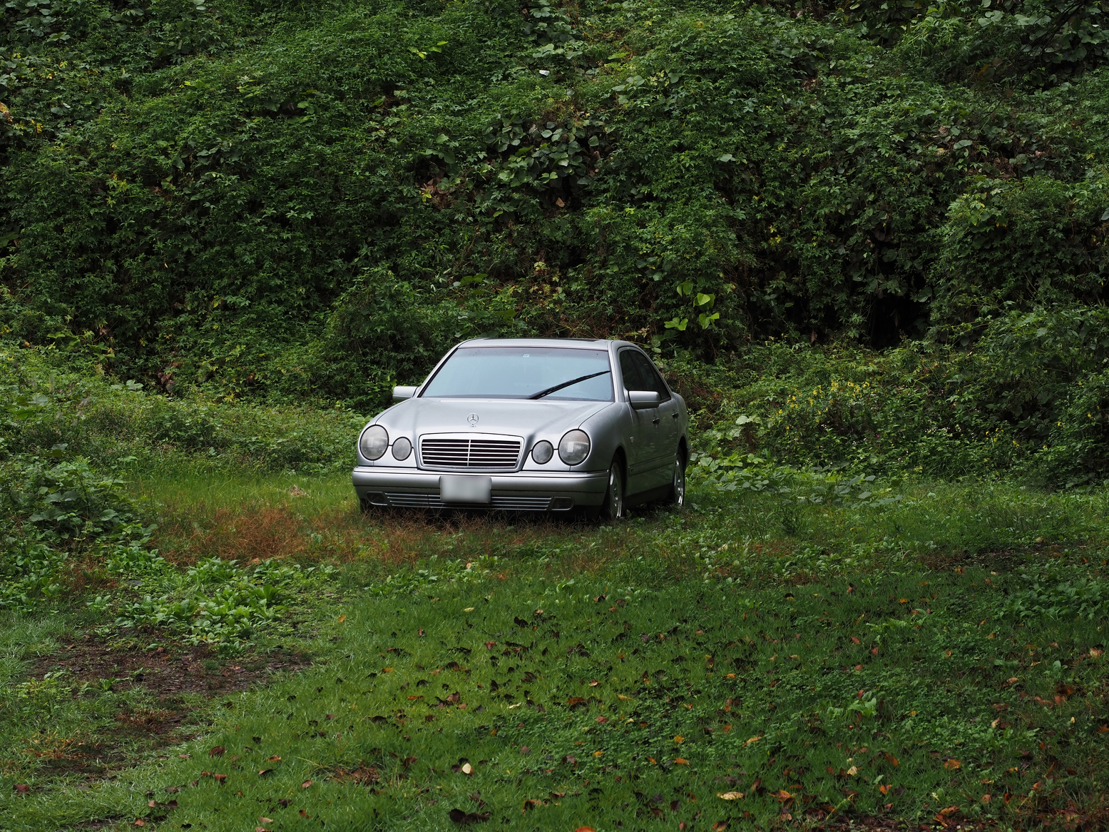 PA050141.jpg