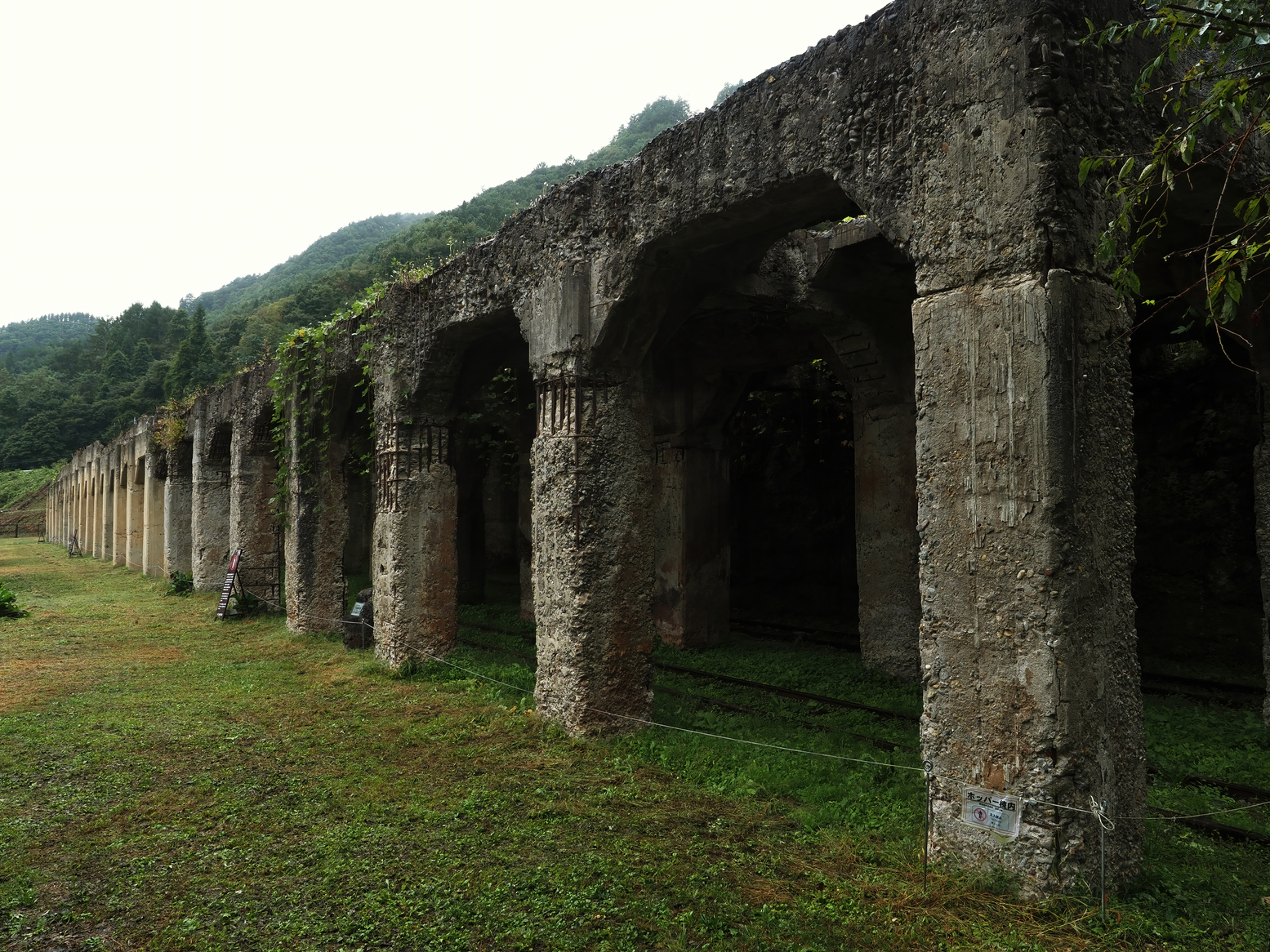 PA050143.jpg