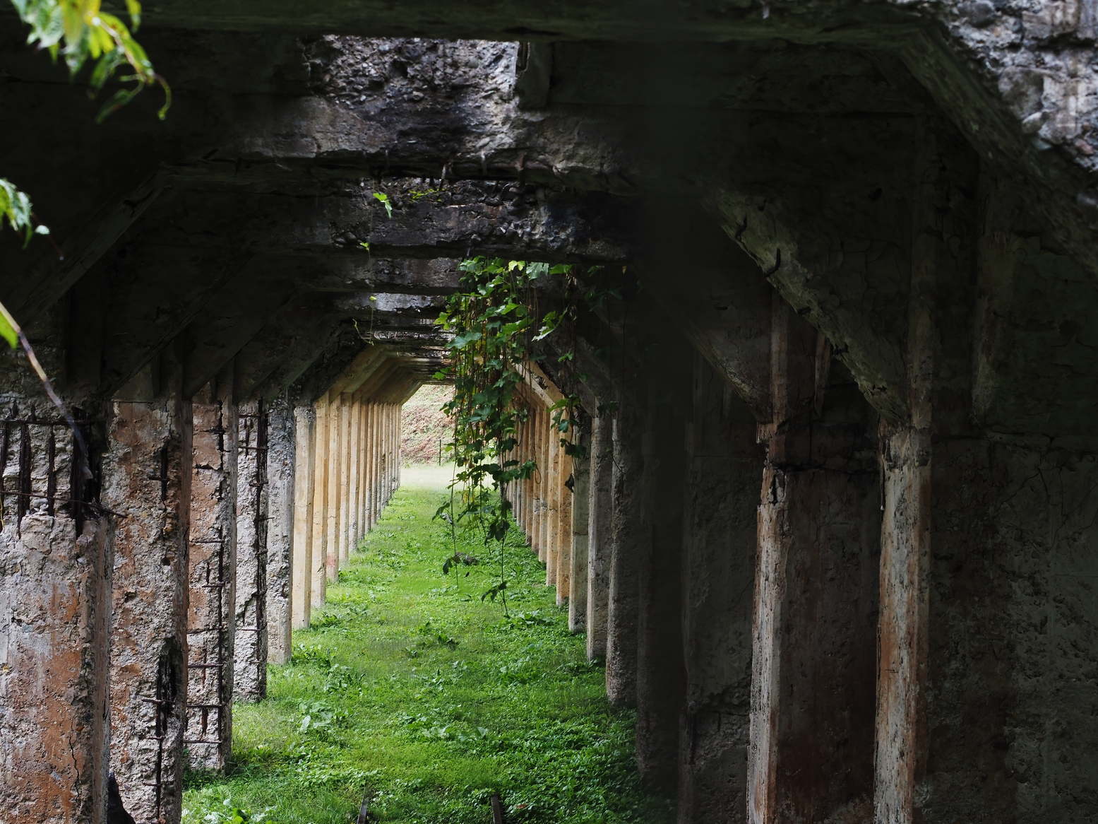PA050144.jpg