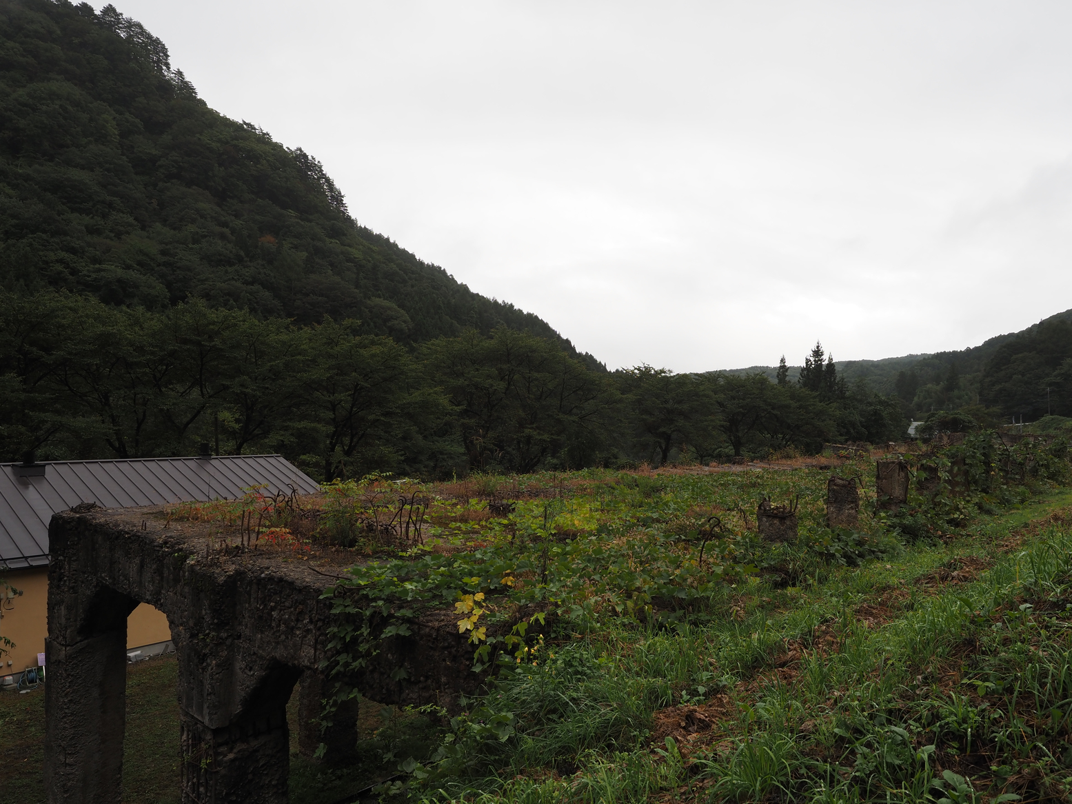 PA050145.jpg