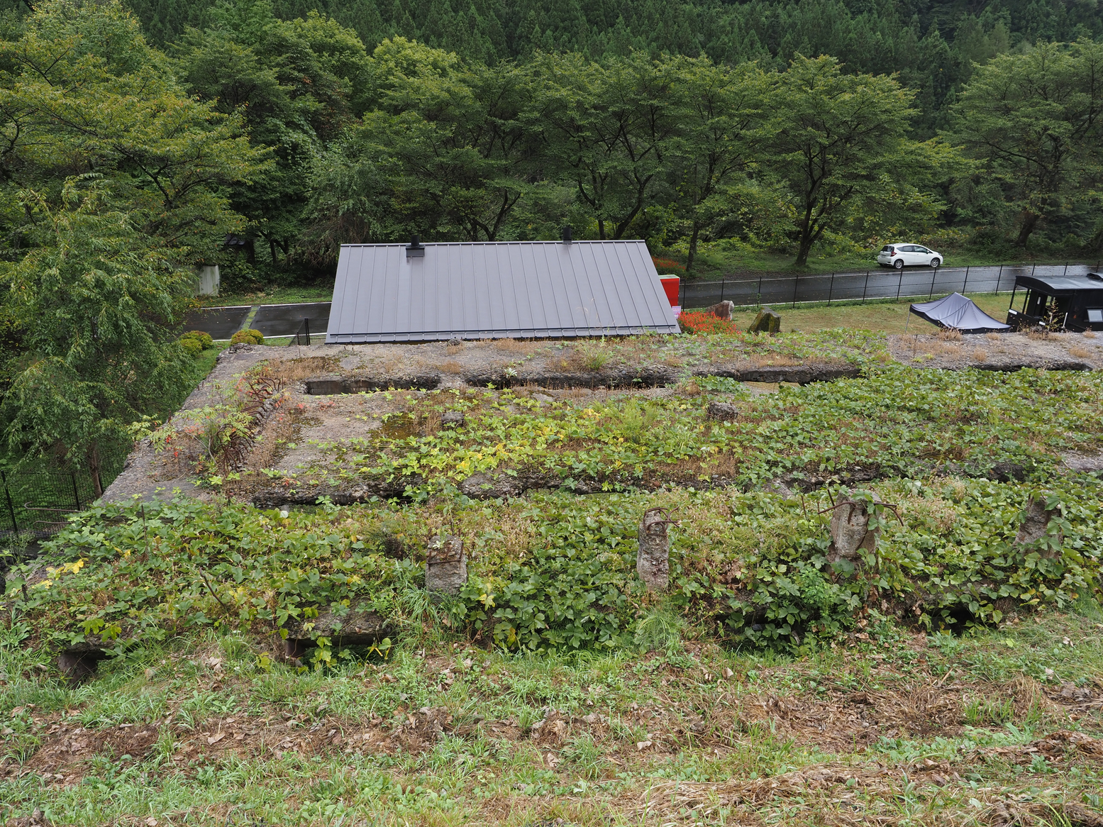 PA050146.jpg