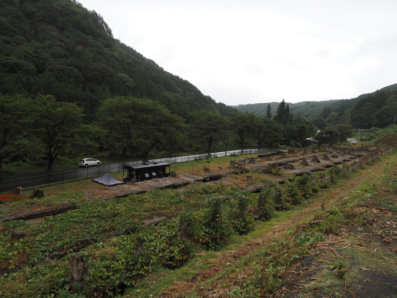 PA050147.jpg