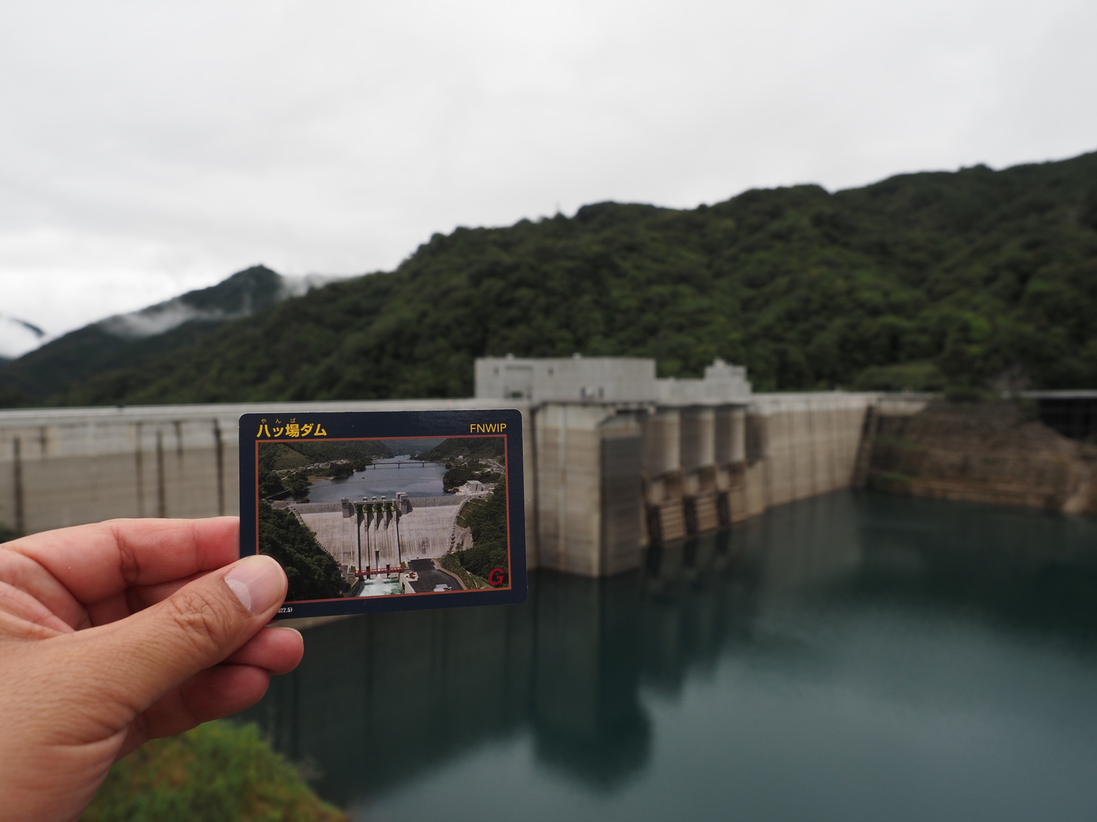 PA060151.jpg