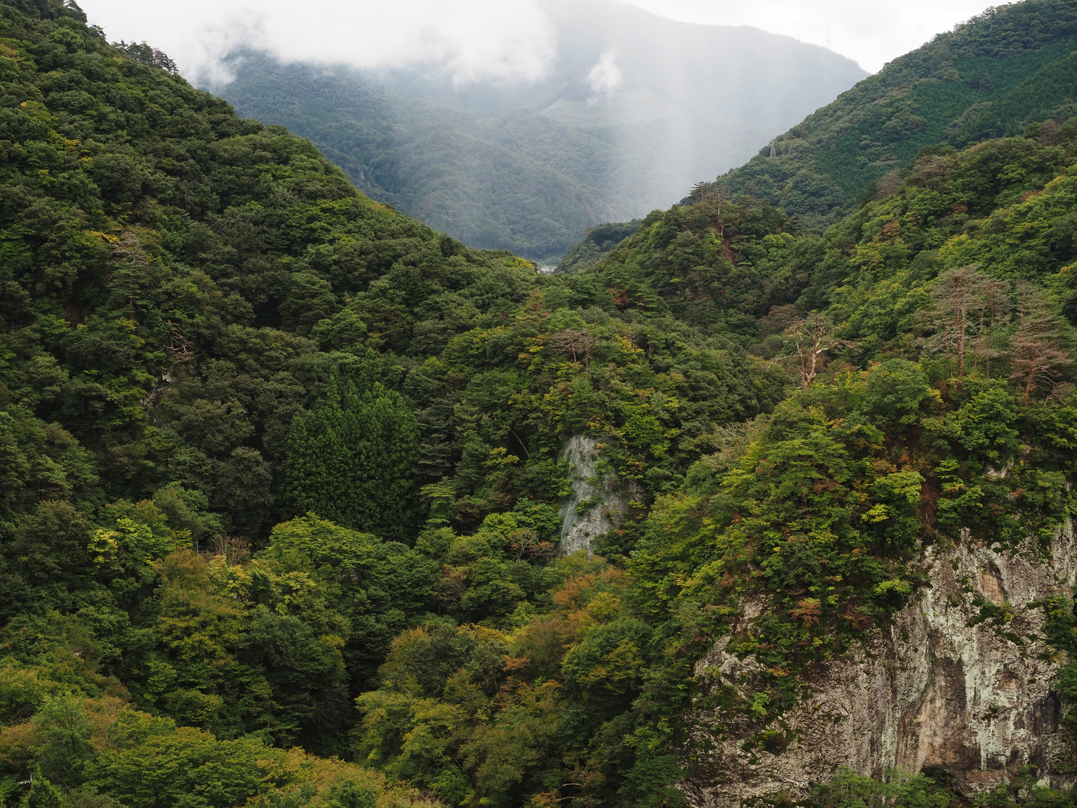 PA060189.jpg