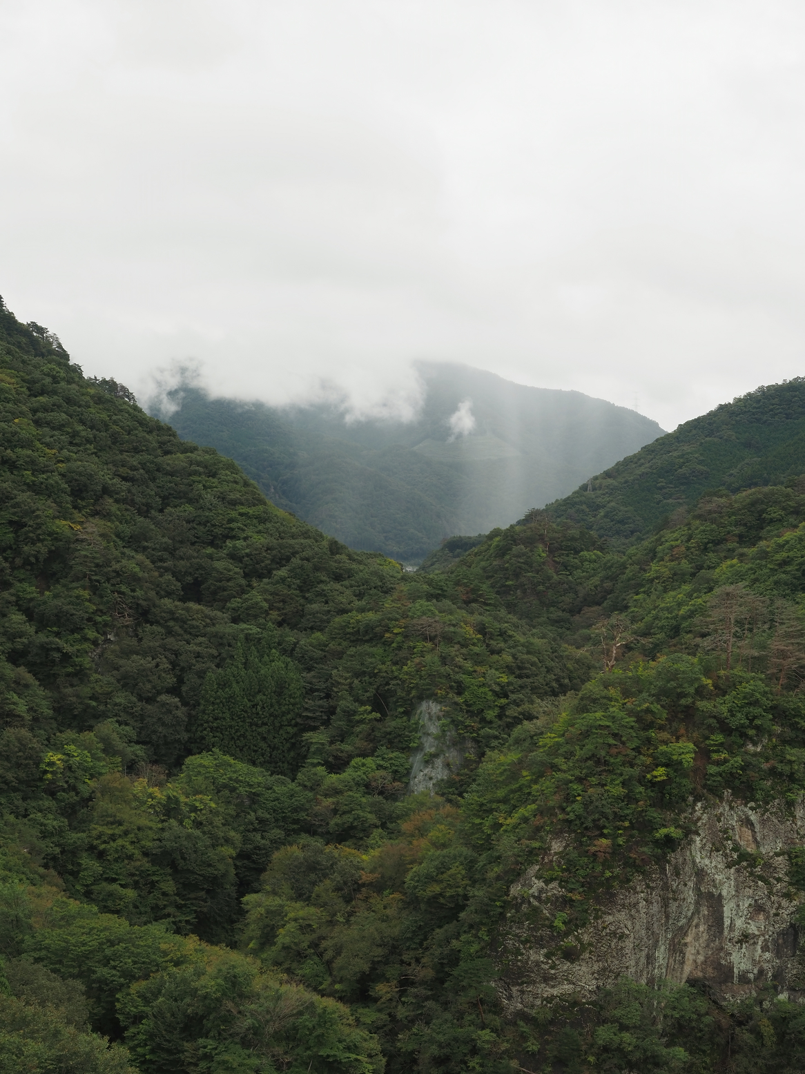 PA060190.jpg