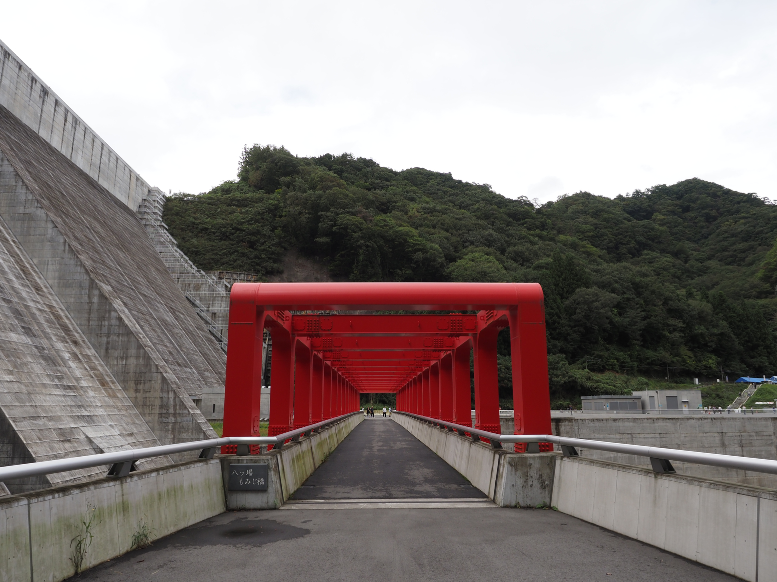 PA060301.jpg