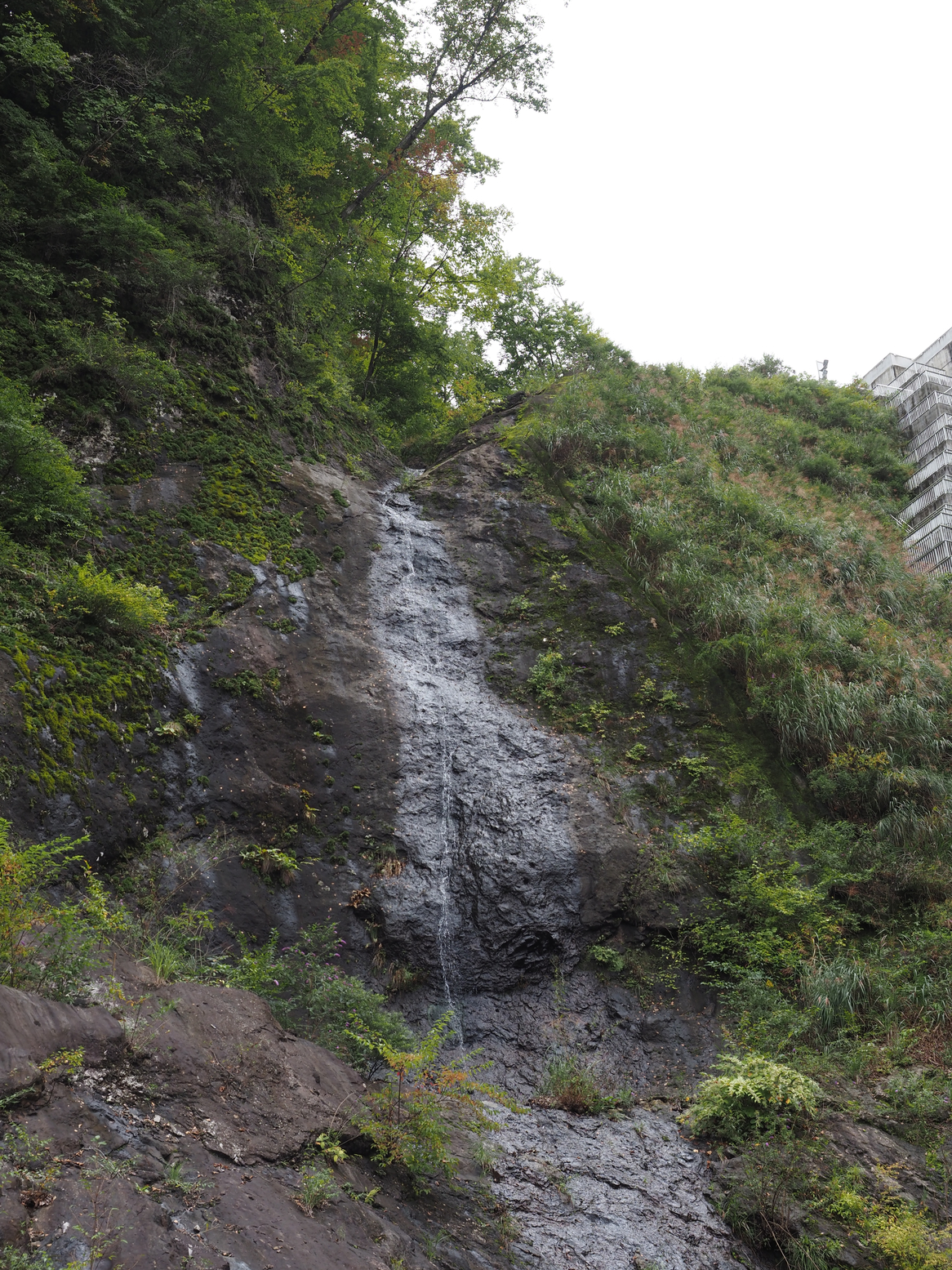 PA060305.jpg