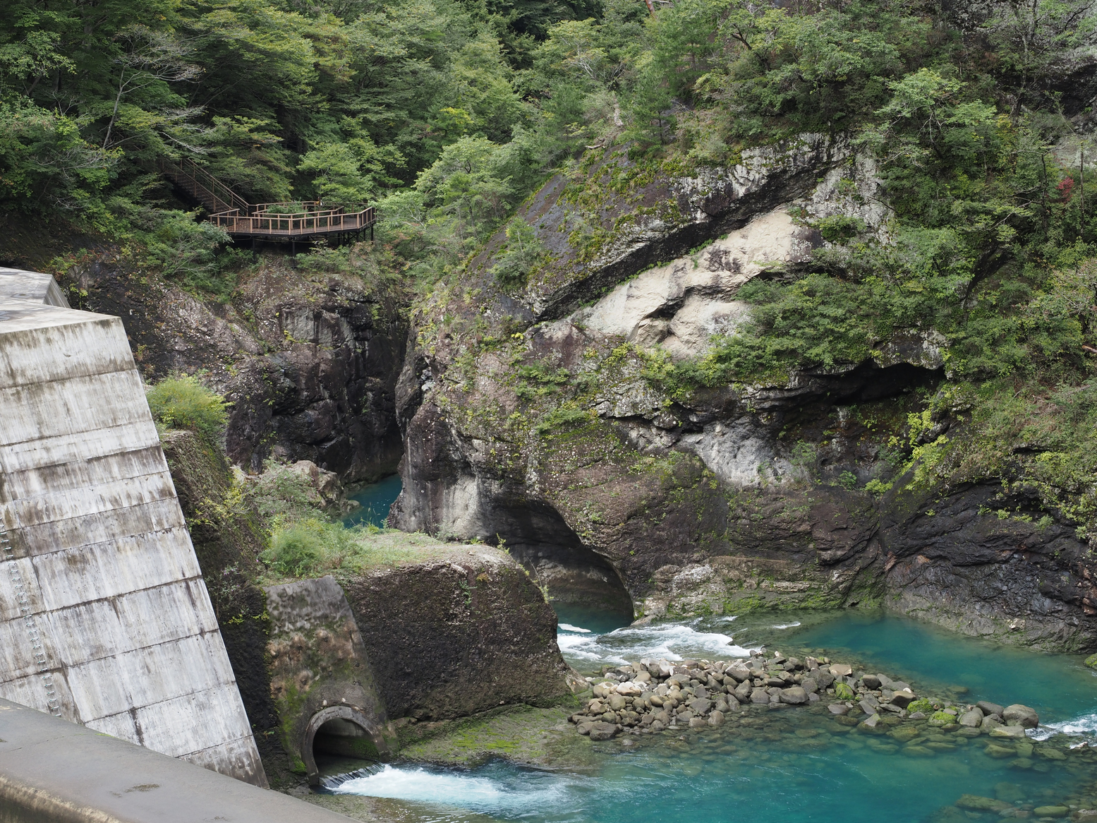 PA060310.jpg