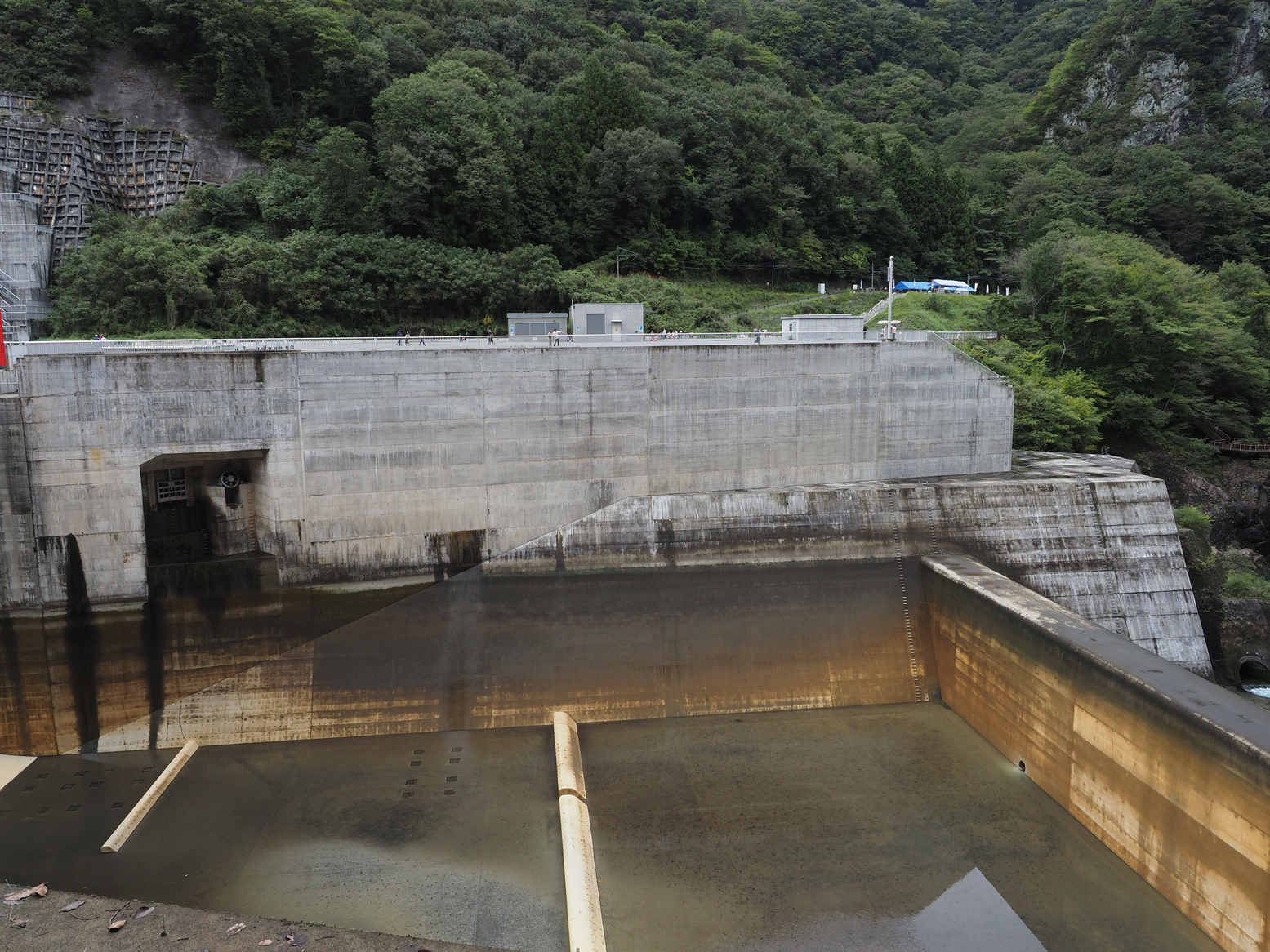 PA060314.jpg