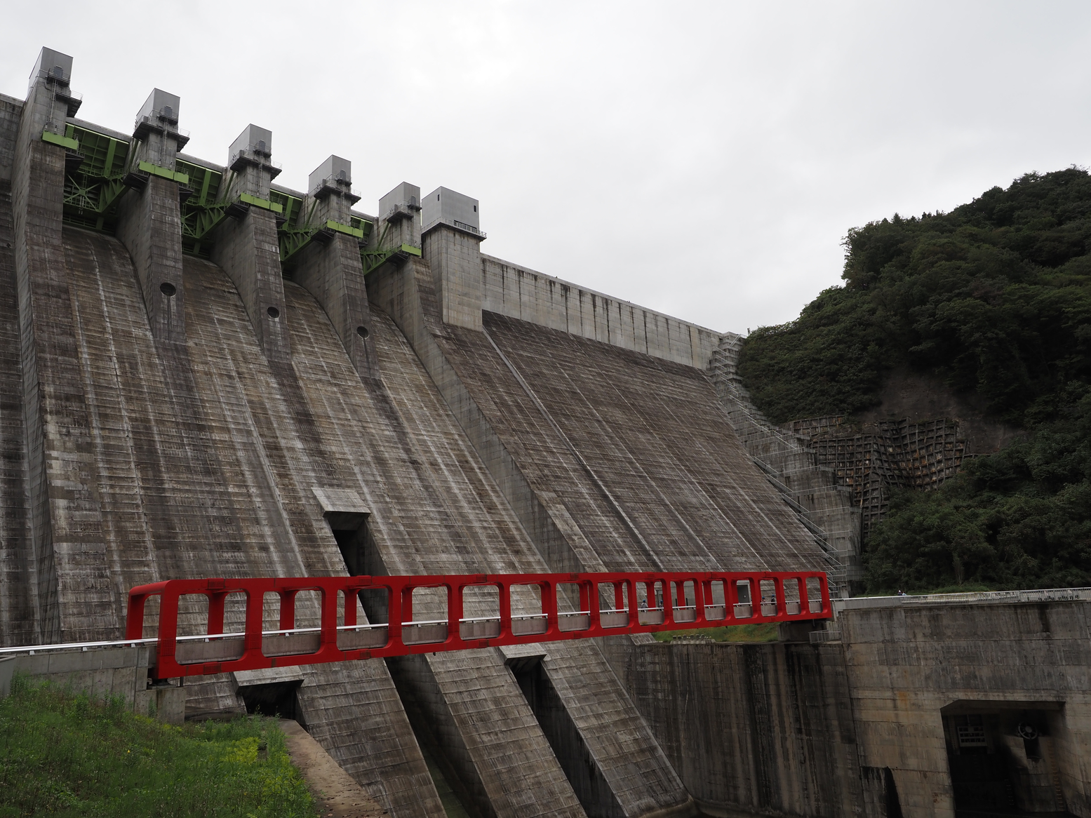 PA060316.jpg