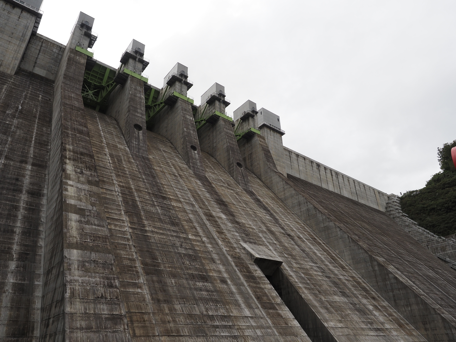 PA060317.jpg