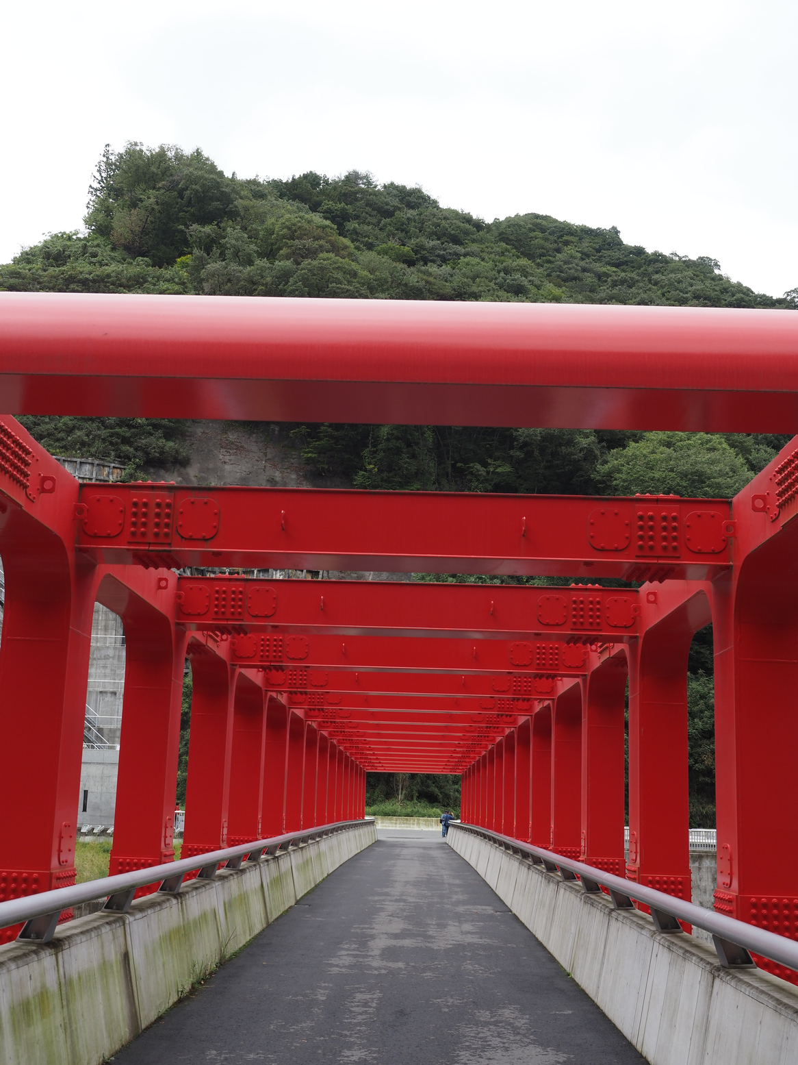 PA060321.jpg