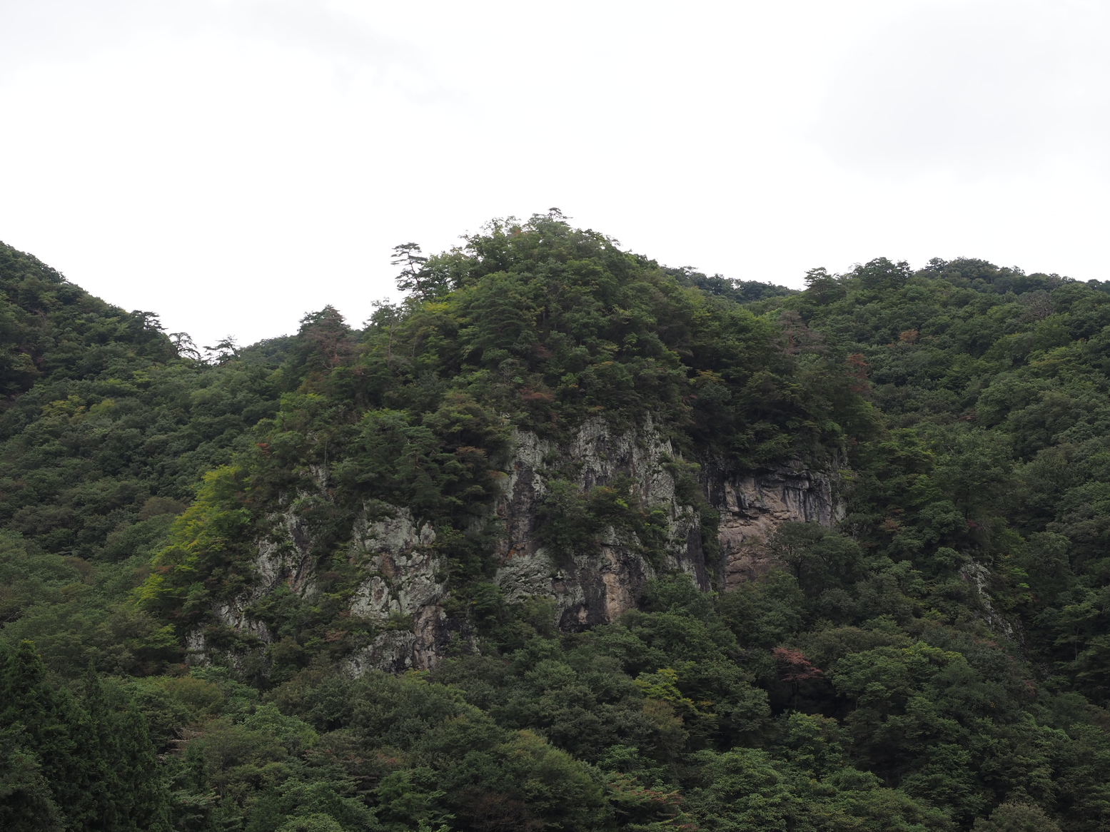 PA060322.jpg