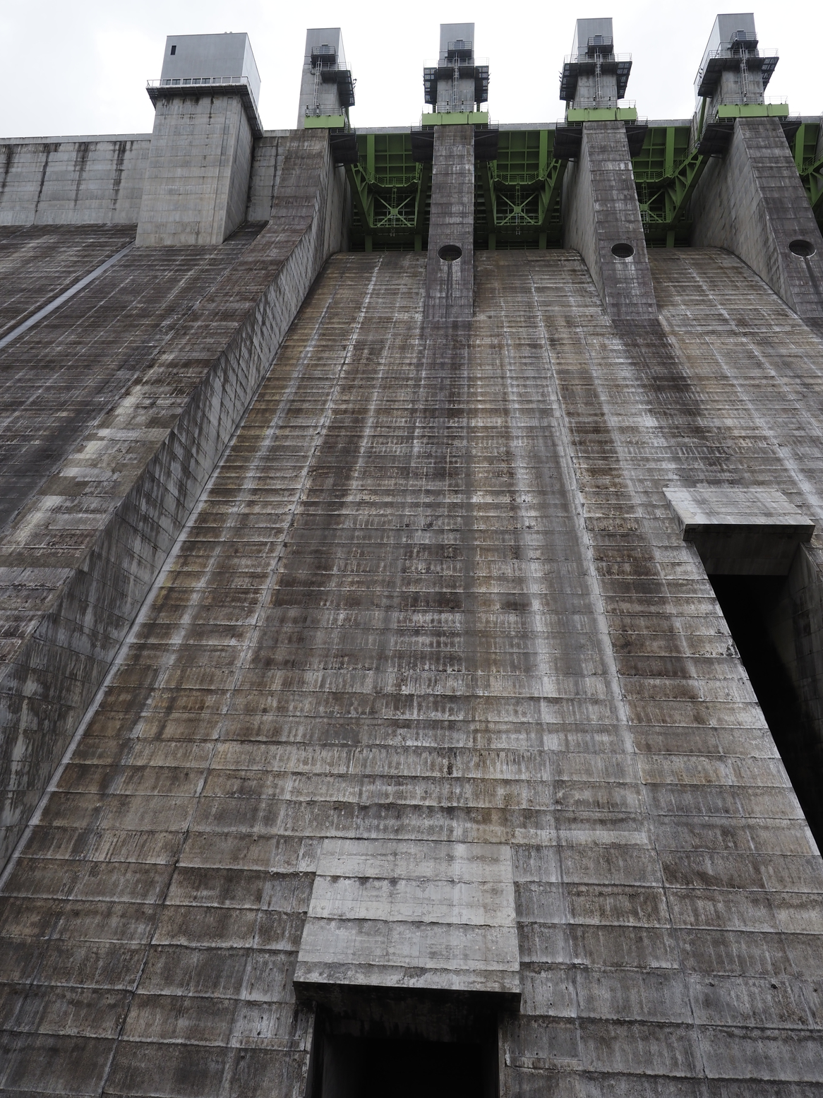PA060326.jpg