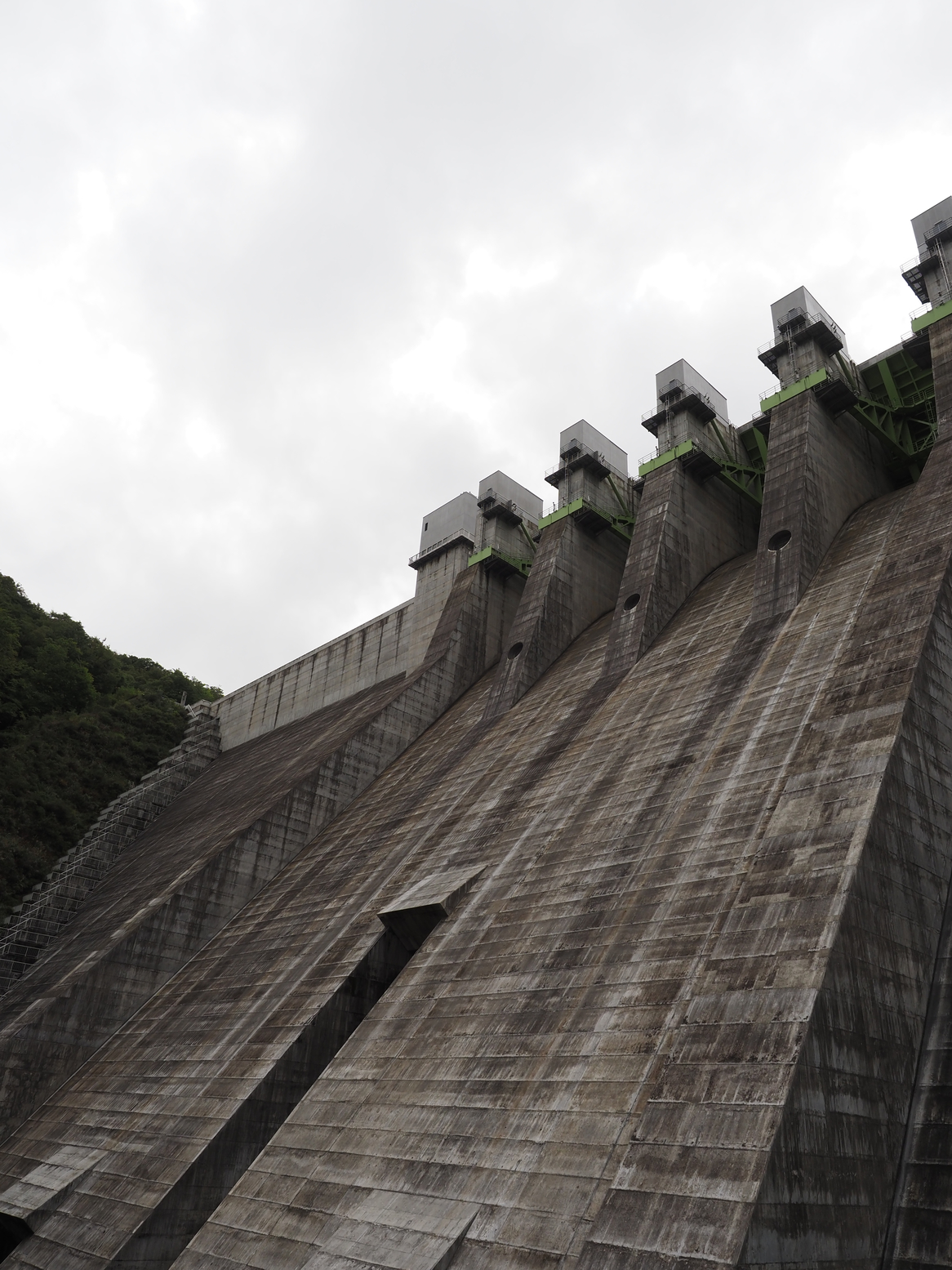 PA060330.jpg