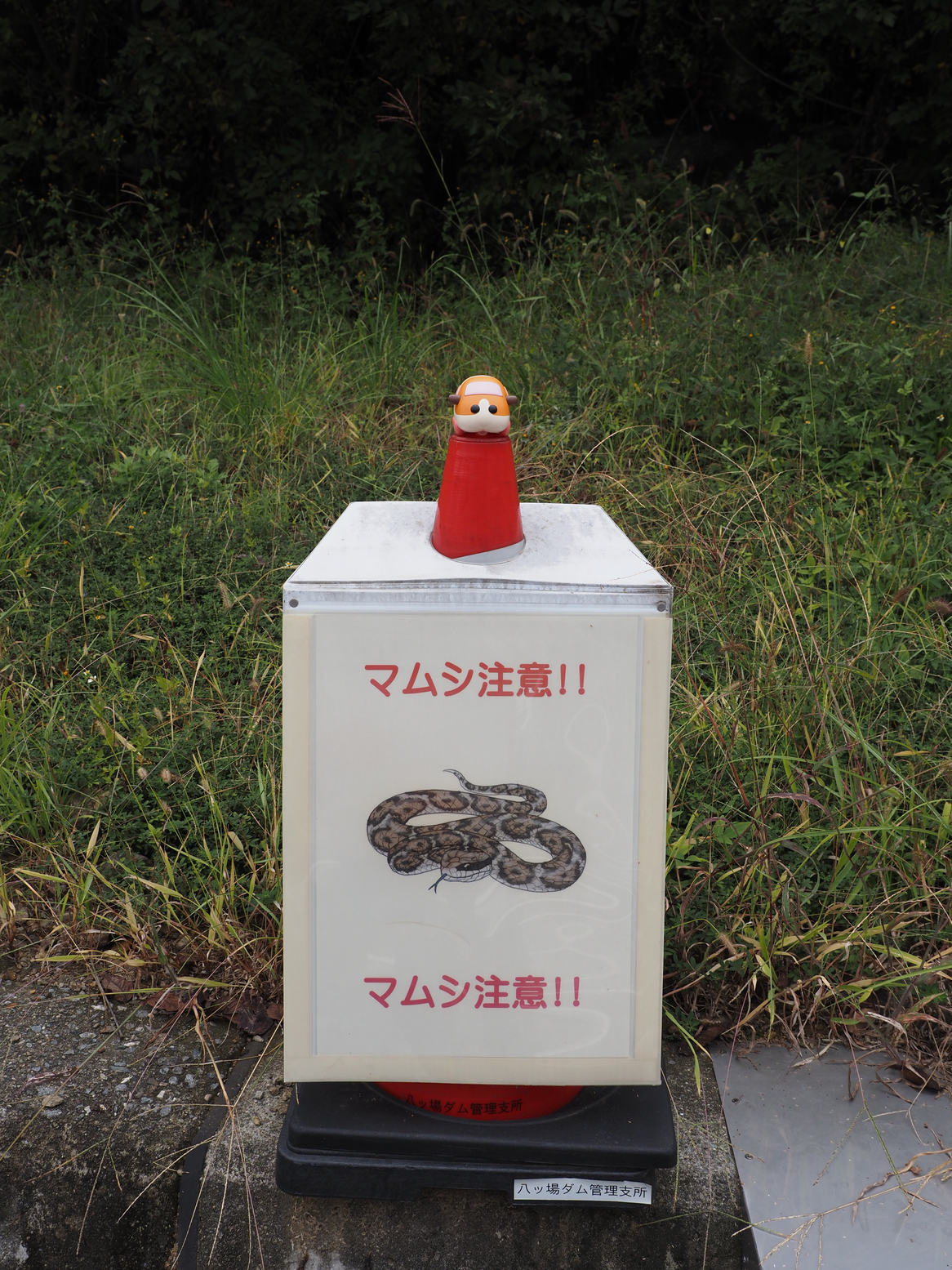PA060332.jpg