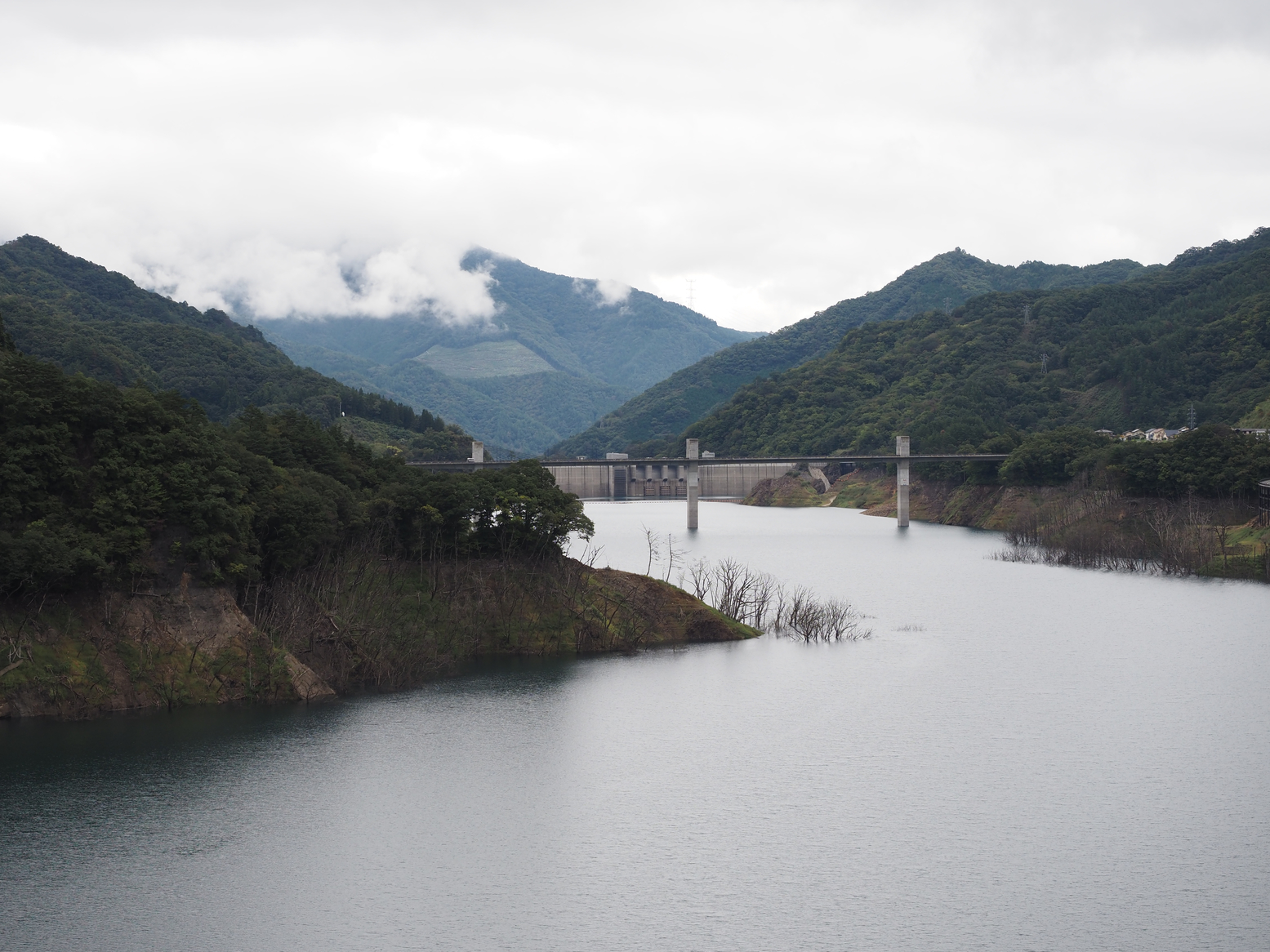 PA060355.jpg