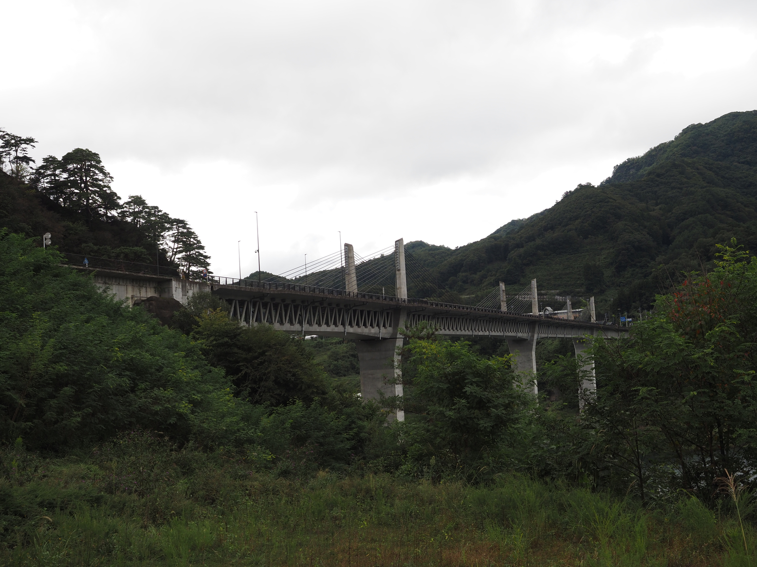 PA060362.jpg