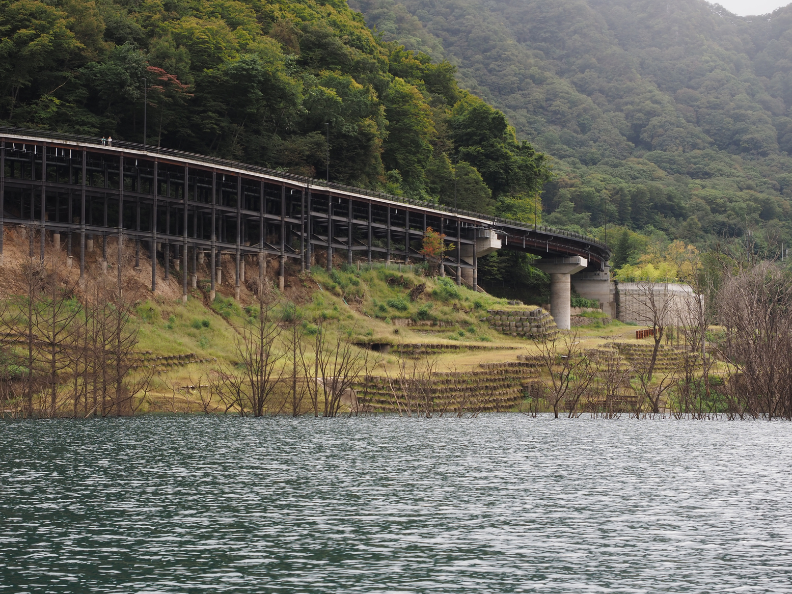 PA060417.jpg