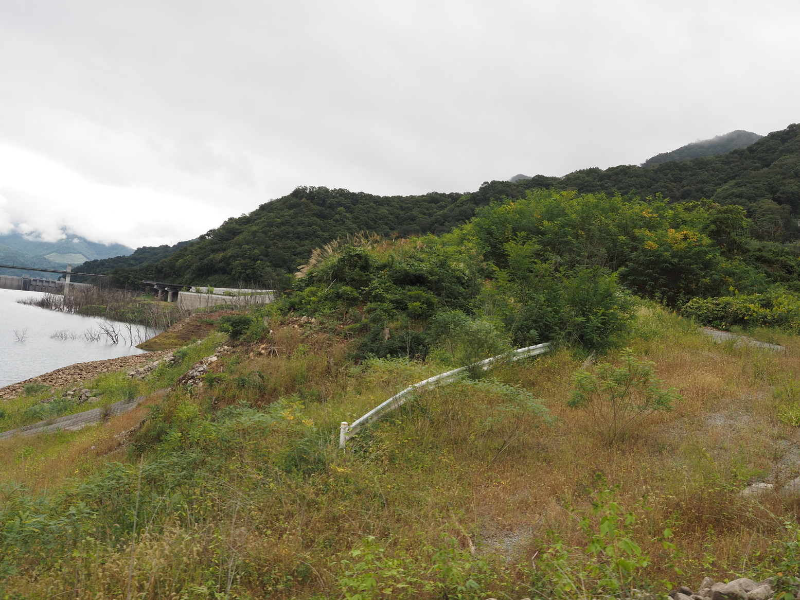 PA060449.jpg