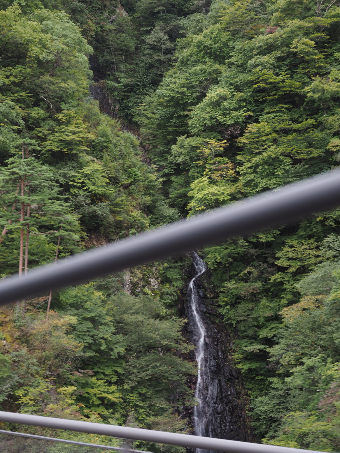 PA060456.jpg