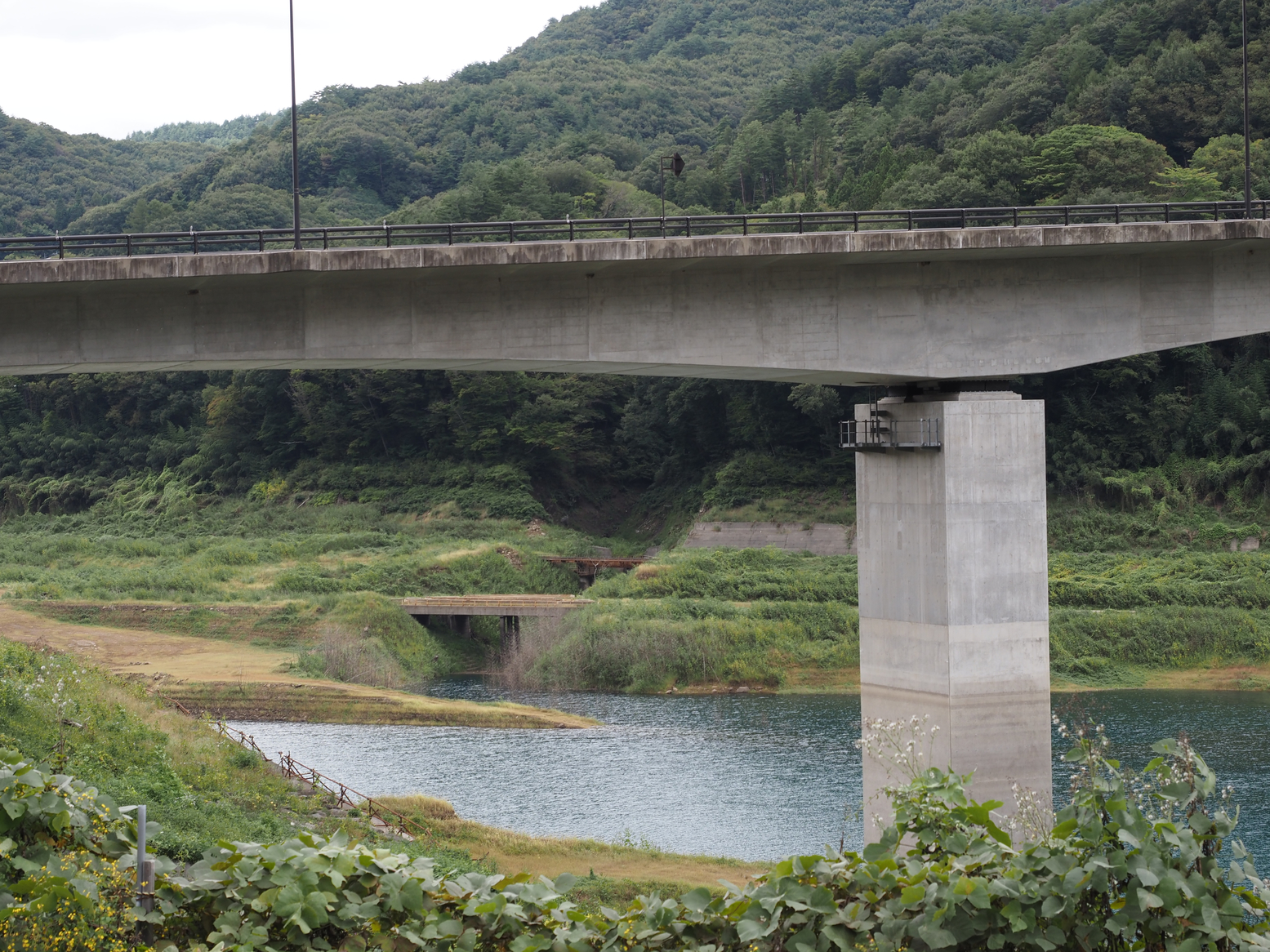 PA060482.jpg