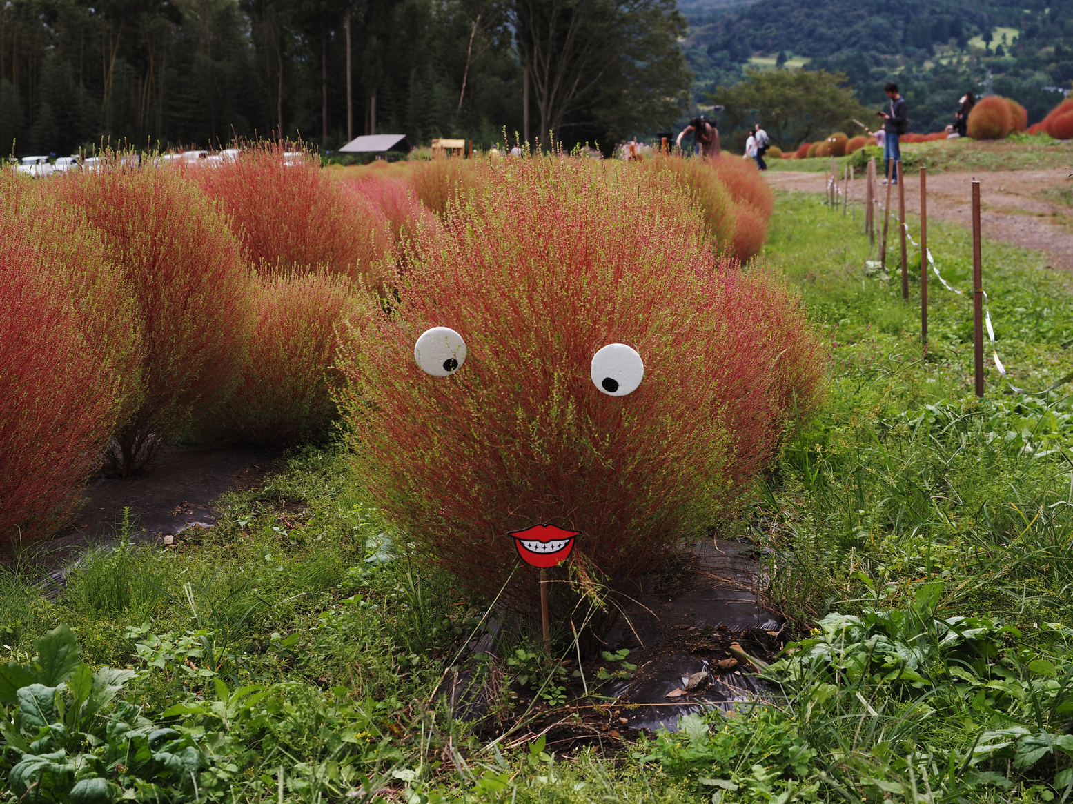 PA060490.jpg