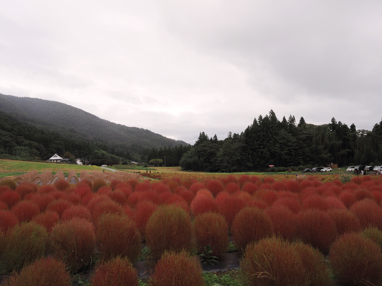 PA060493.jpg