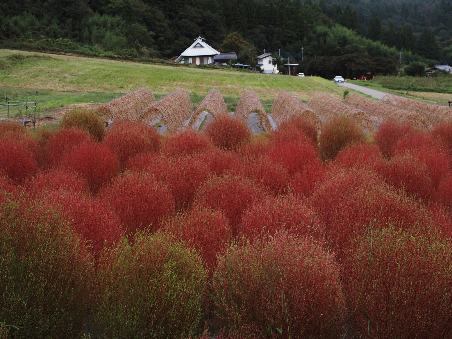 PA060494.jpg