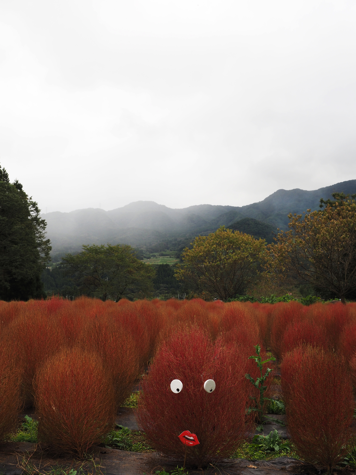 PA060496.jpg