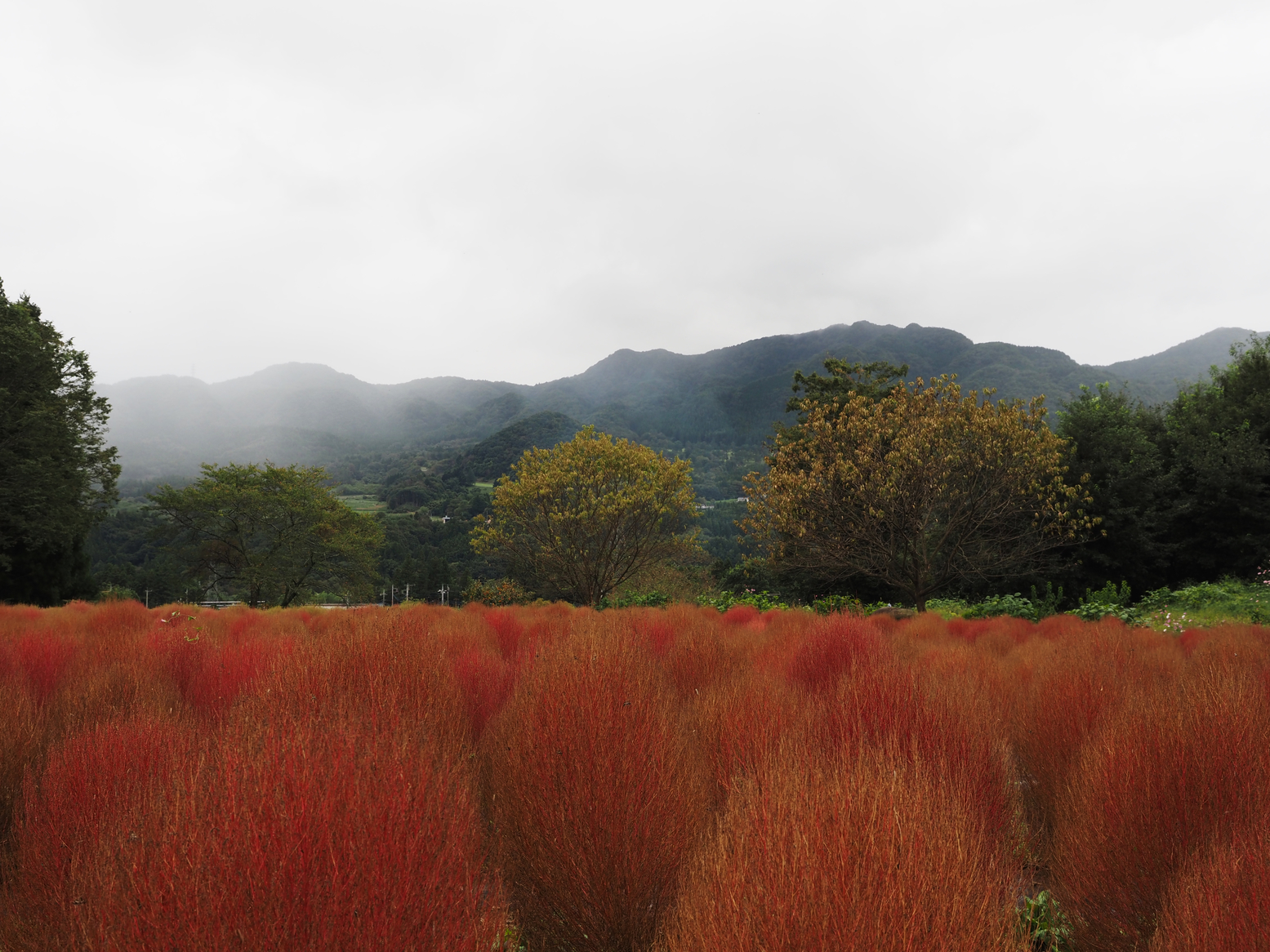 PA060499.jpg