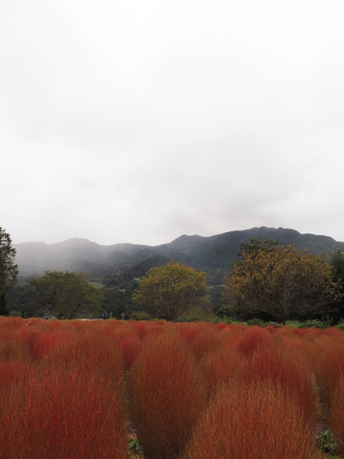 PA060500.jpg