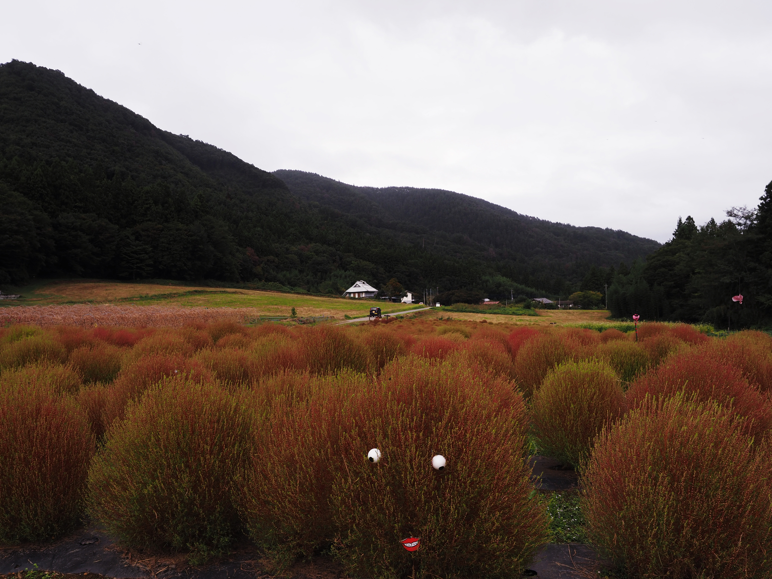 PA060514.jpg