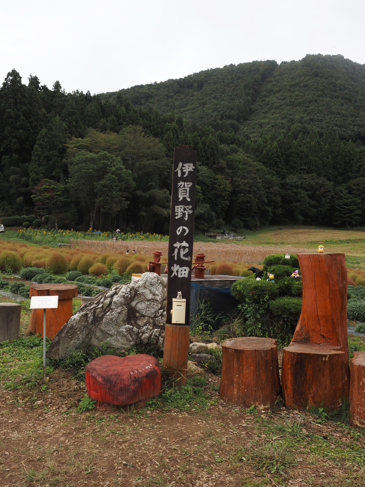 PA060522.jpg