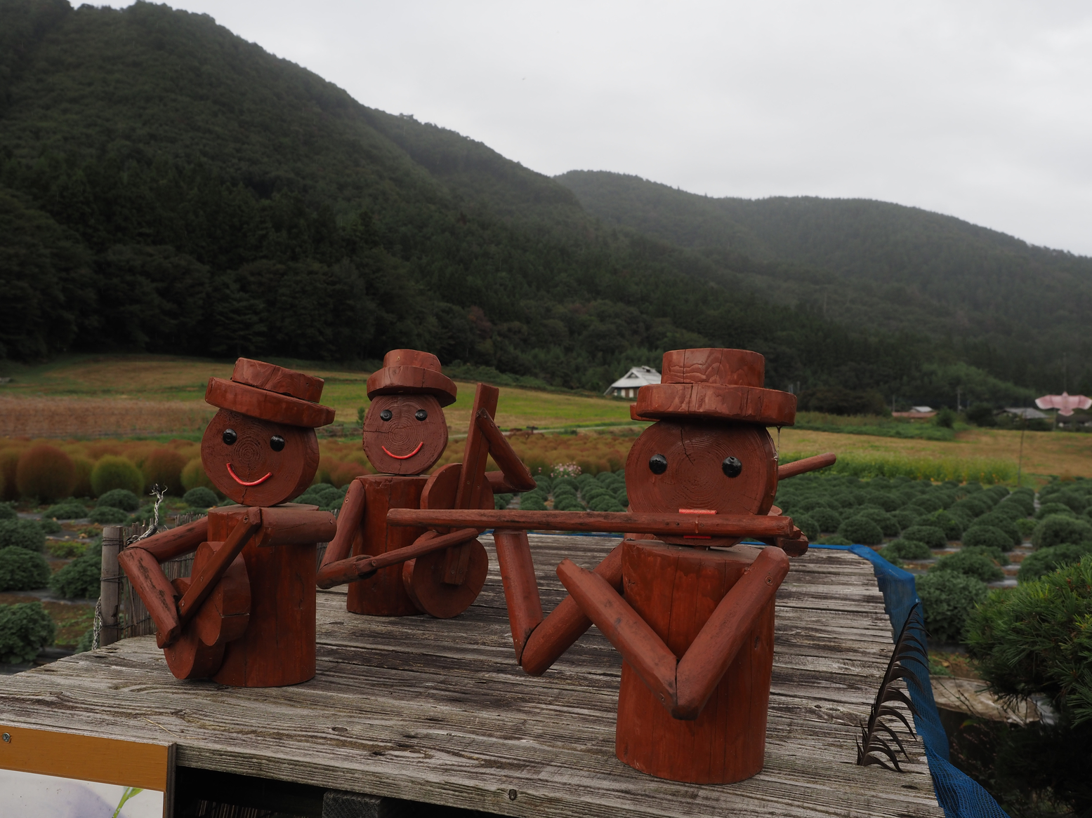 PA060524.jpg
