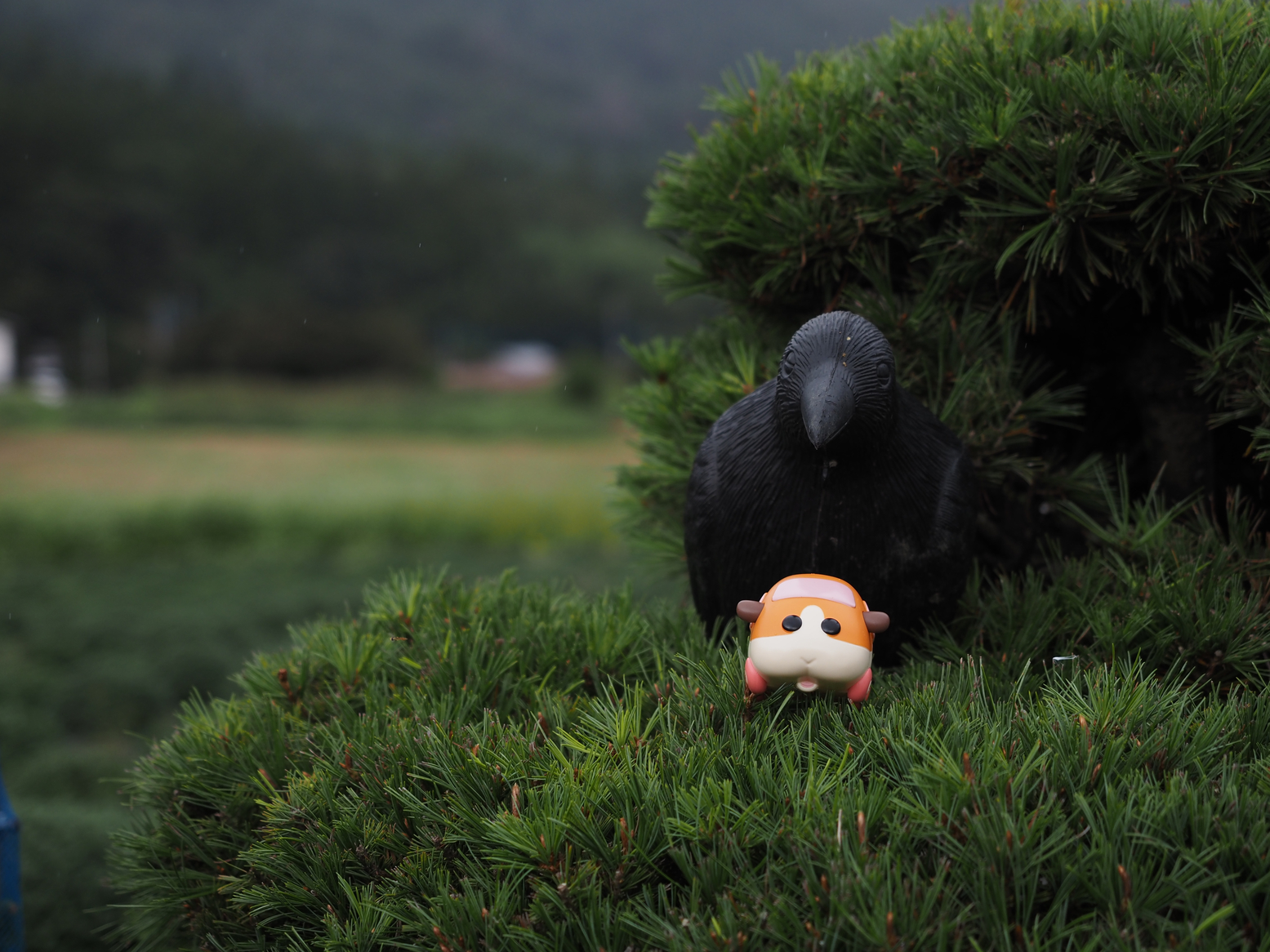 PA060526.jpg