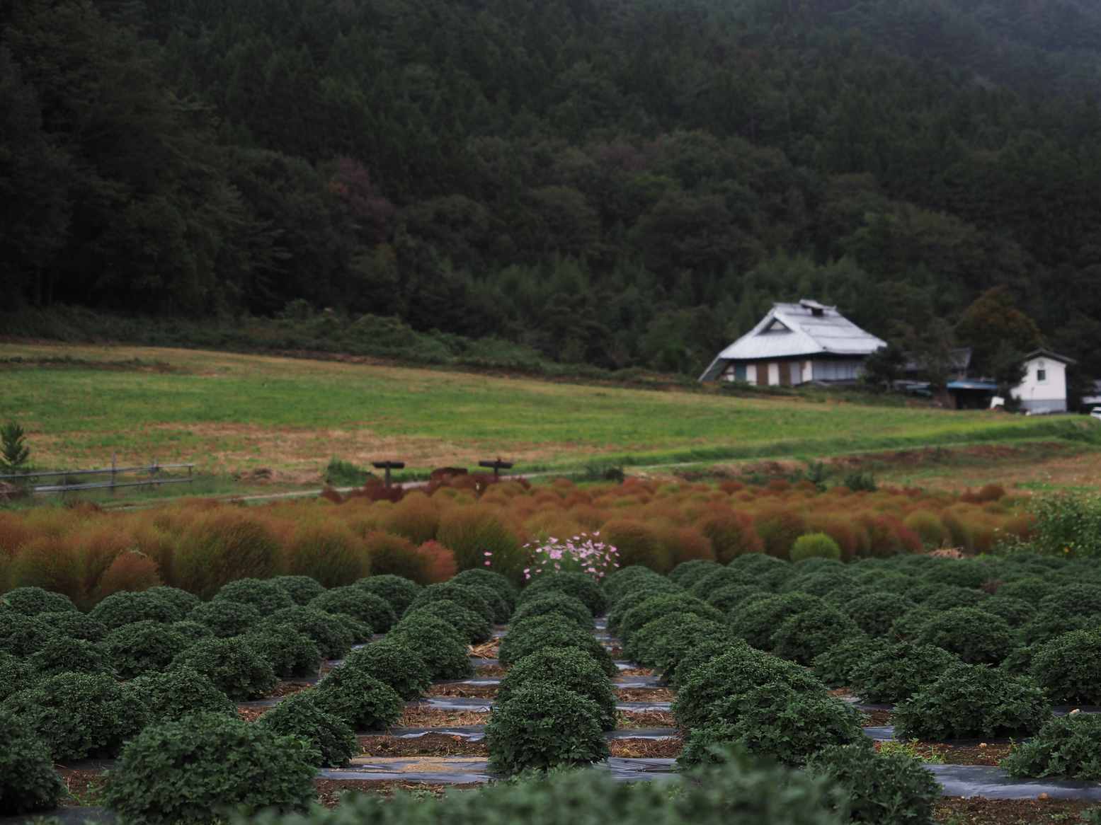 PA060528.jpg