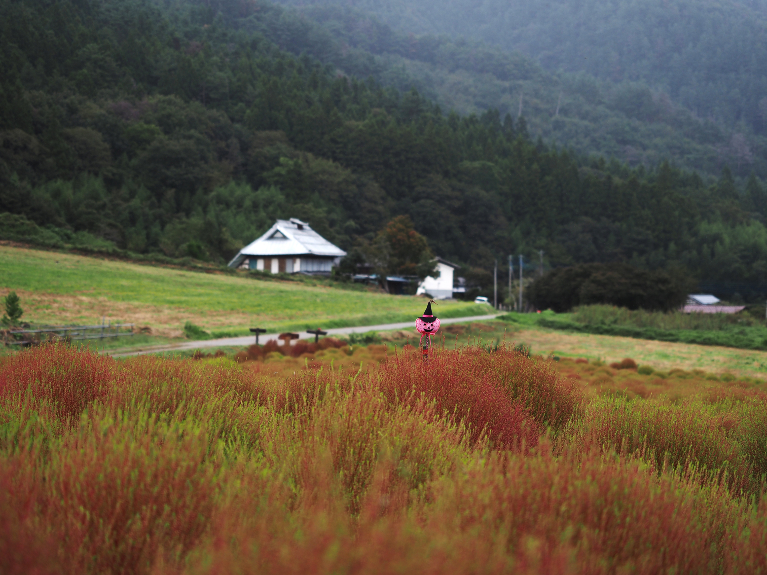 PA060532.jpg