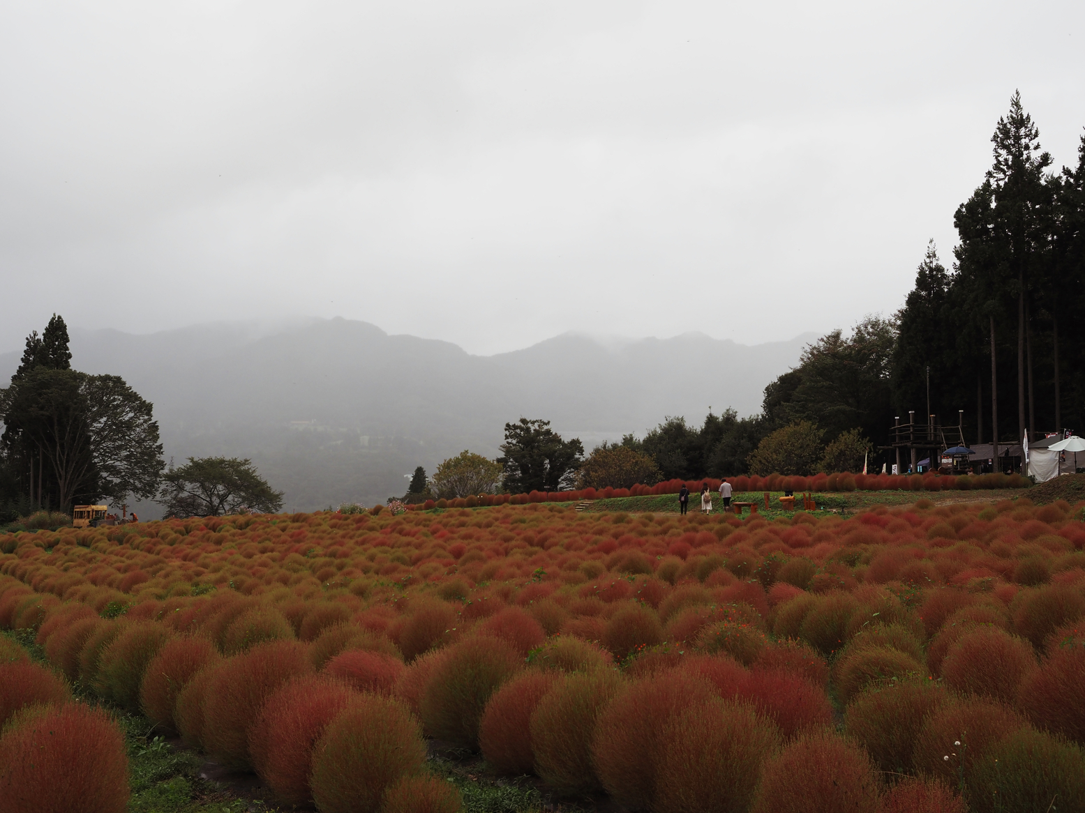 PA060573.jpg