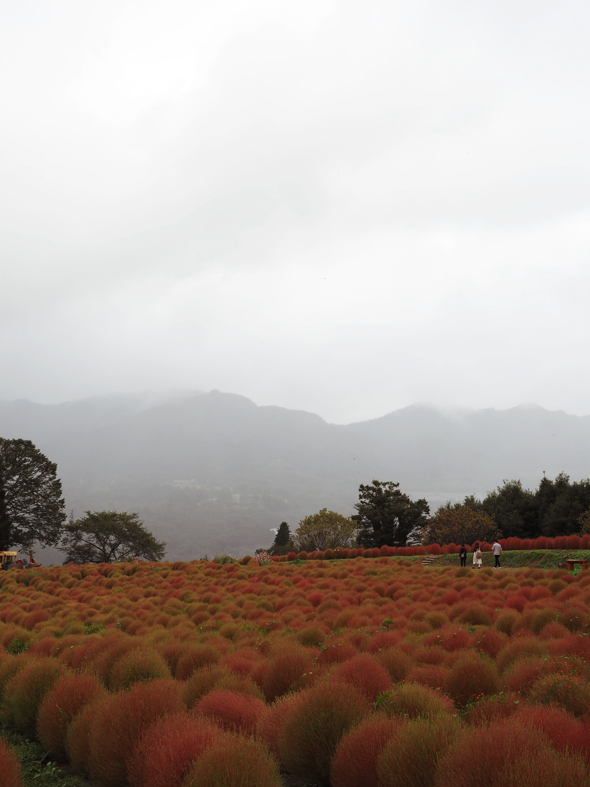 PA060574.jpg