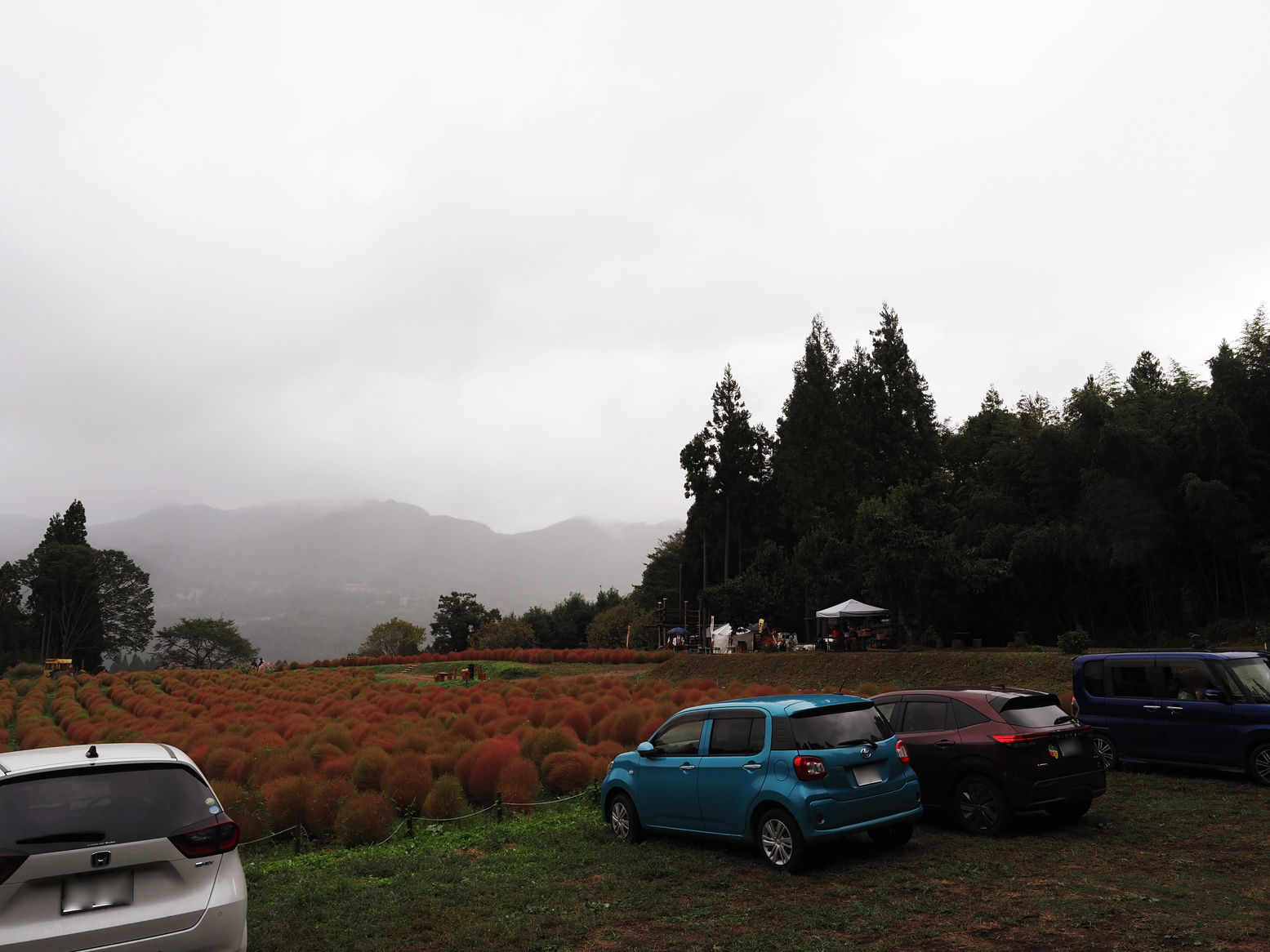 PA060577.jpg
