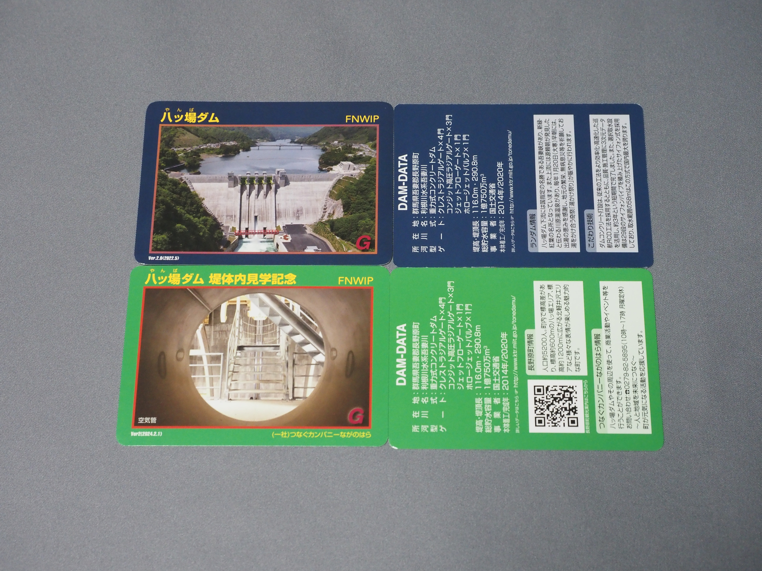 PA060610.jpg