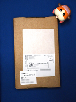 PA100626_thumb.png